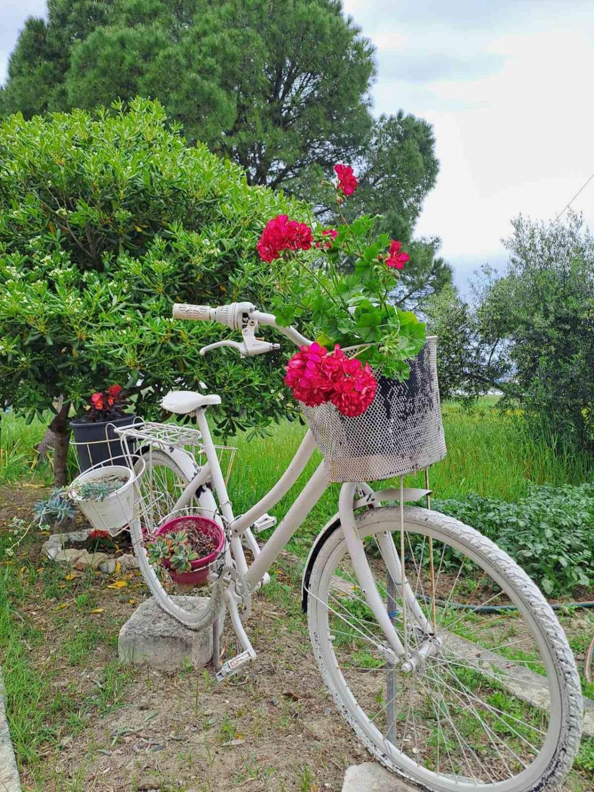 Corfu Lakeside Cottage Канони Екстериор снимка